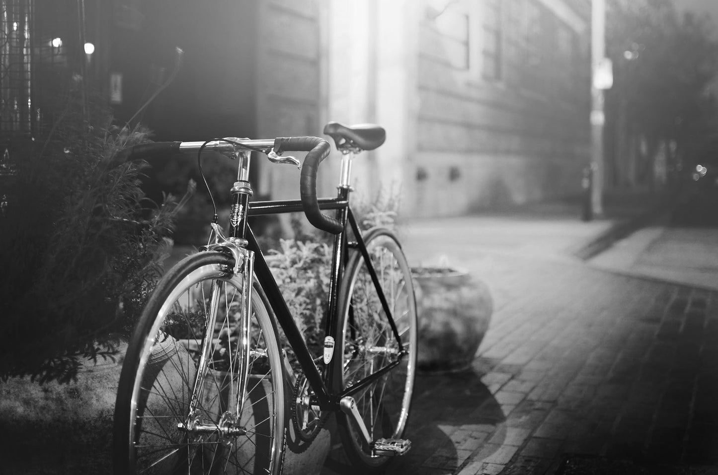 Premium Fixed Gear Bike,Pure Fix Cycles