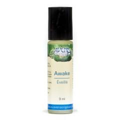 AWAKE ROLL ON - wp - dineshAWAKE ROLL ON