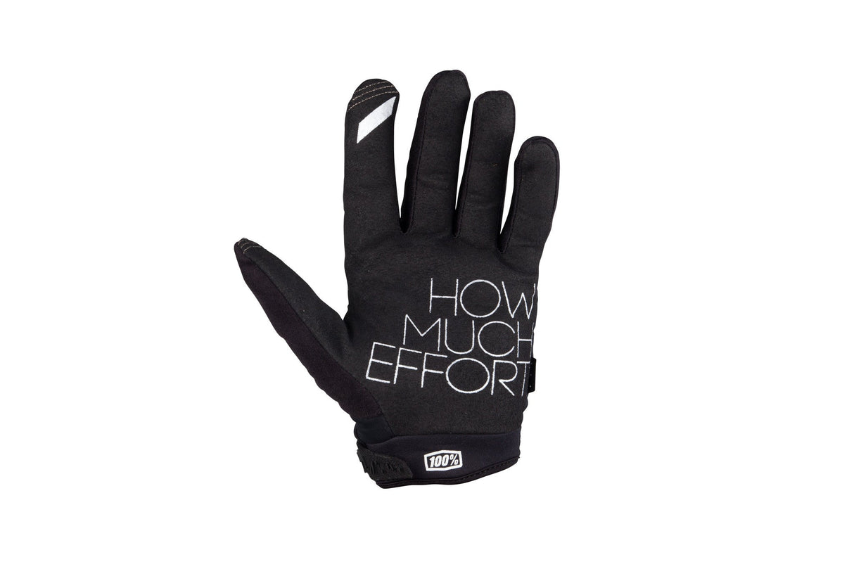 Brisker Cold Weather Riding Gloves - wp - dineshBrisker Cold Weather Riding Gloves