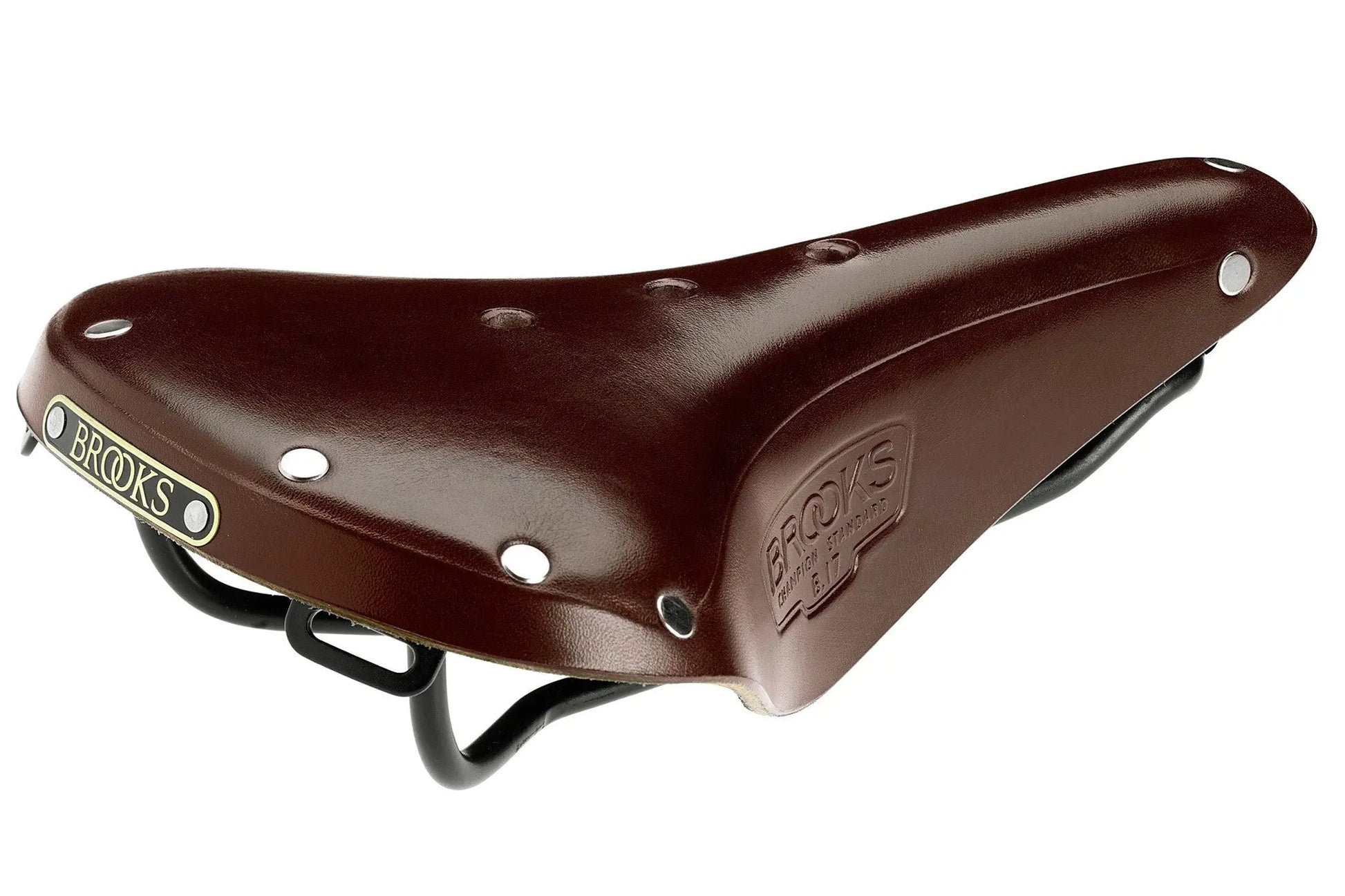 Brooks B17 Saddle - wp - dineshBrooks B17 Saddle 22222