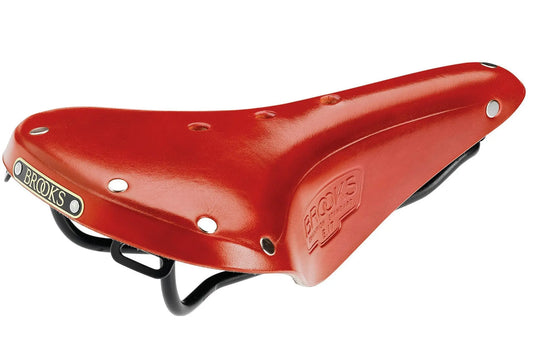 Brooks B17 Saddle - wp - dineshBrooks B17 Saddle 22222
