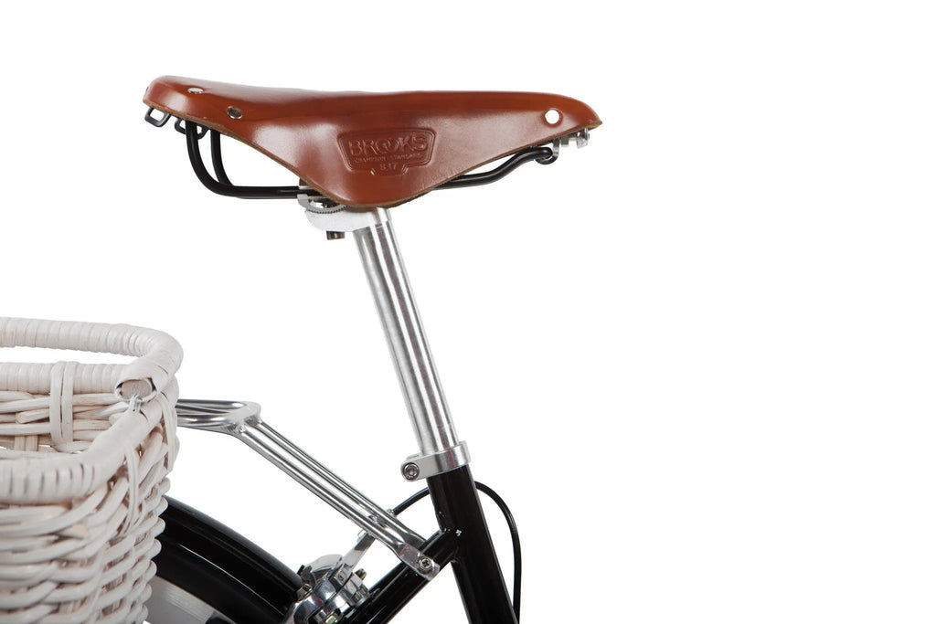 Brooks B17 Saddle - wp - dineshBrooks B17 Saddle 22222