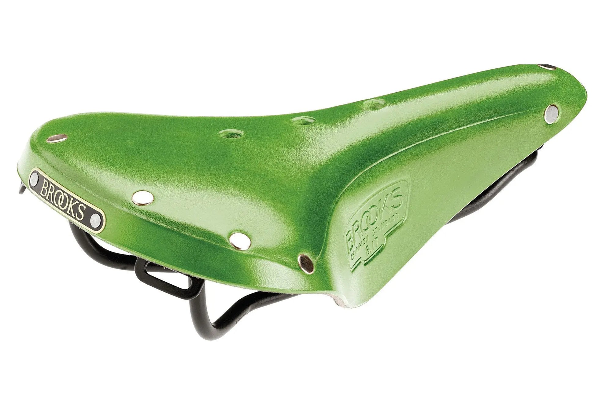 Brooks B17 Saddle - wp - dineshBrooks B17 Saddle 22222