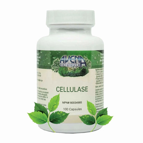 CELLULASE ENZYME