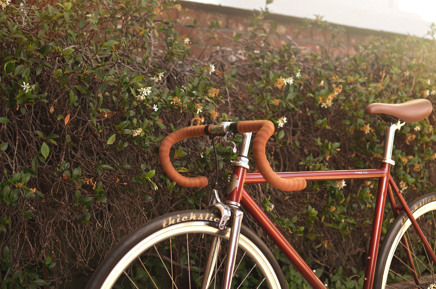 Premium Fixed Gear Bike,Pure Fix Cycles