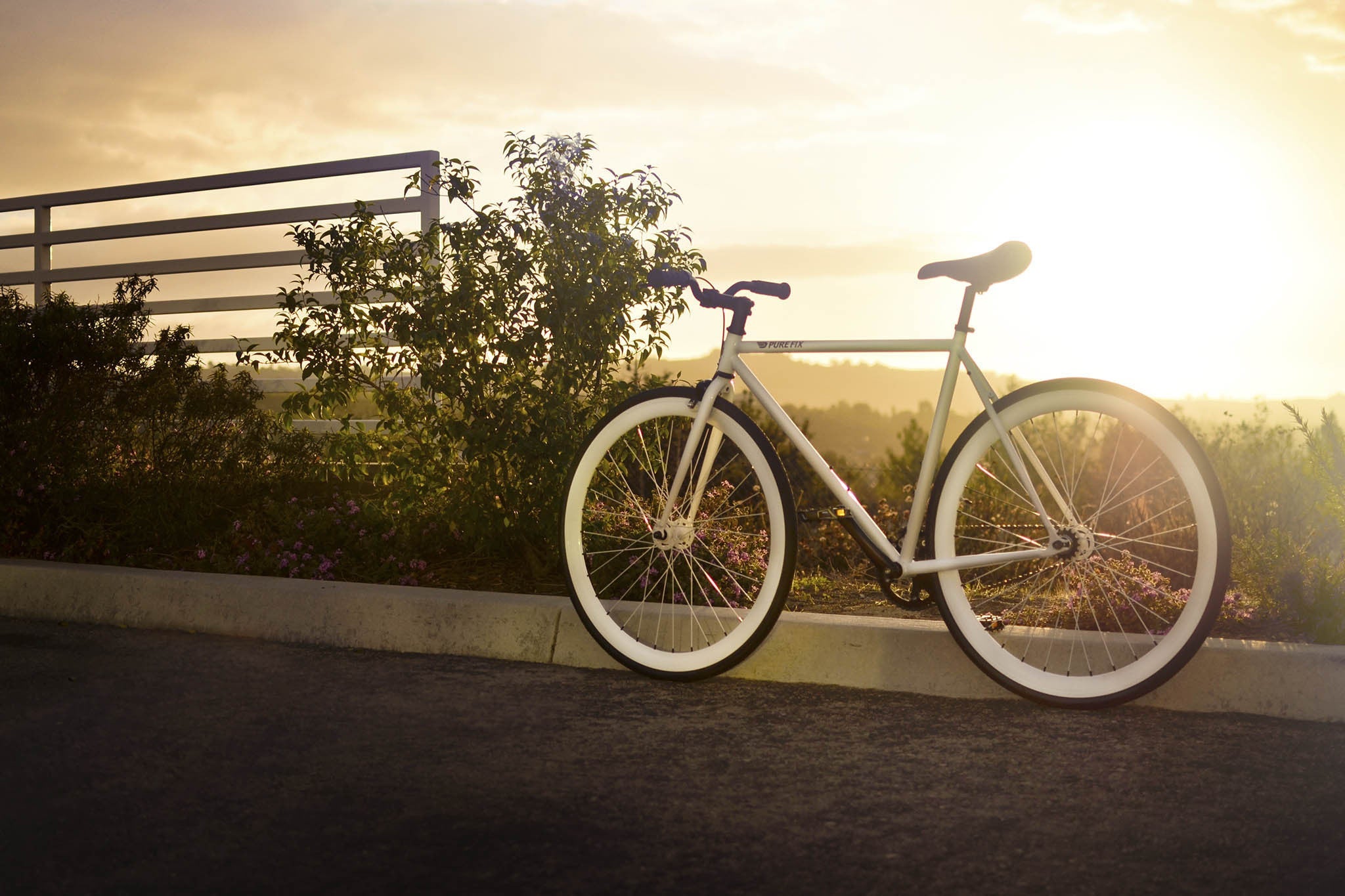 Glow Series,Pure Fix Cycles